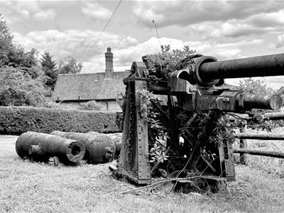 Picture 21